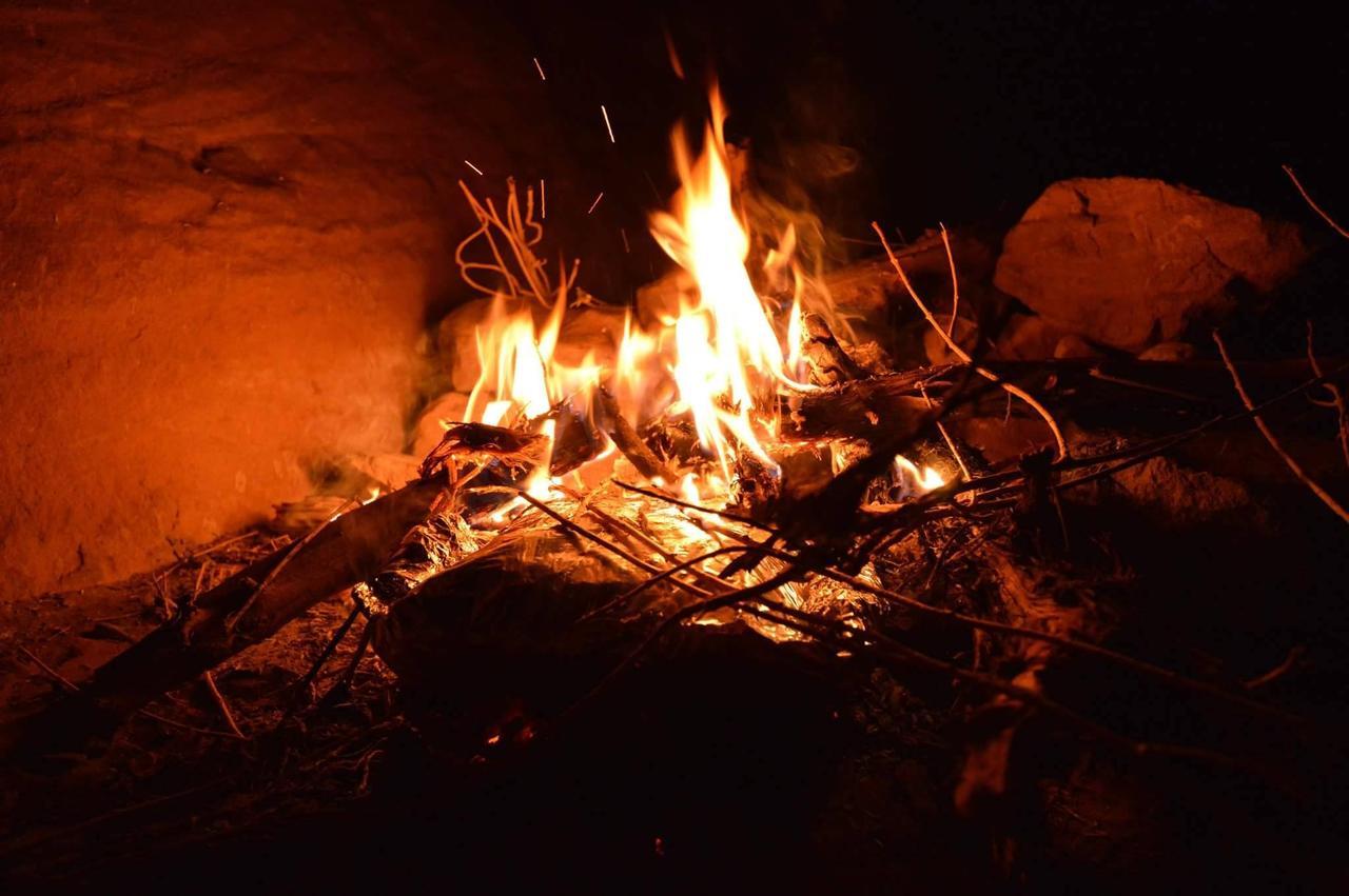 Petra Bedouin Bed And Breakfast ワディ・ムーサ エクステリア 写真