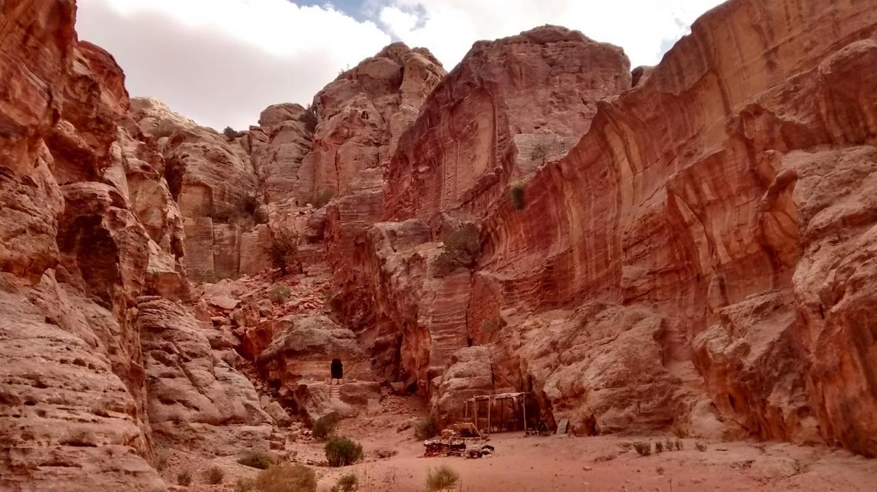 Petra Bedouin Bed And Breakfast ワディ・ムーサ エクステリア 写真
